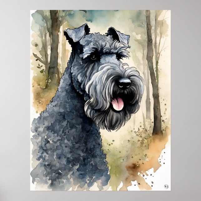 Kerry Blue Terrier - Hund Art Print Poster (Framsidan)
