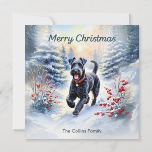 Kerry Blue Terrier i snö God Jul Julkort