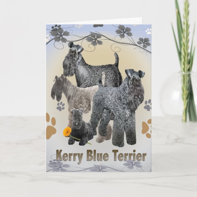 Kerry Blue Terrier-kort Kort (Framsida)