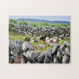 Kerry stenvallar. pussel