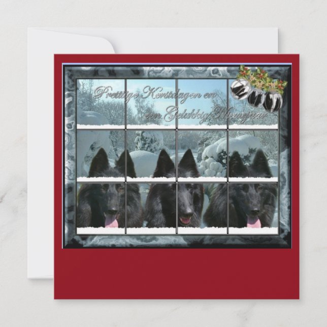 Kerstkaart de 3 groenendaelers (Framsida)