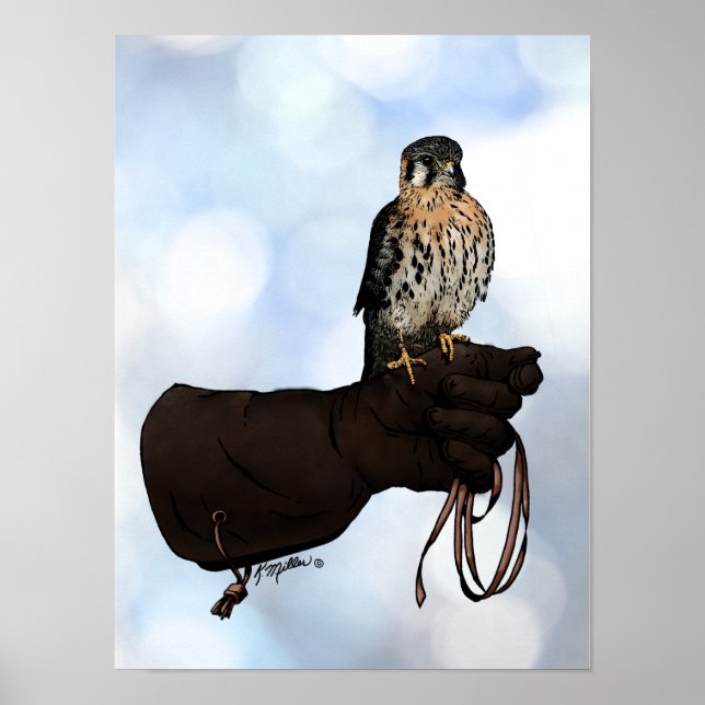 Kestrel om handskillustration poster (Framsidan)