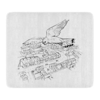 Kestrel över staden bild / sketch