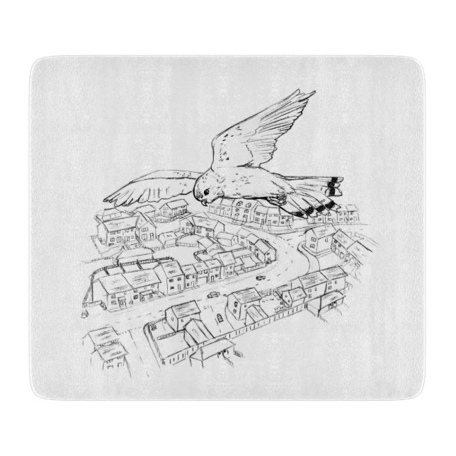 Kestrel över staden bild / sketch (Framsidan)