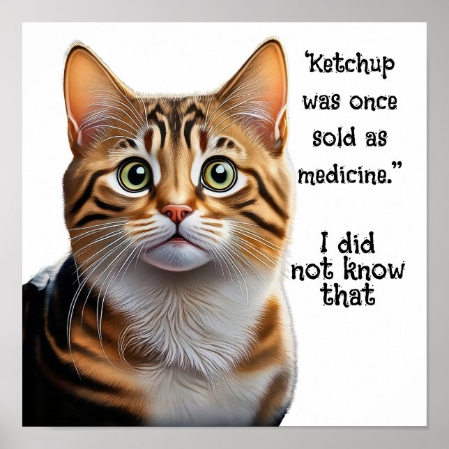 Ketchup säljs som läkemedel poster (Framsidan)