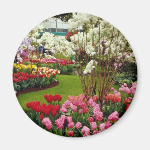 Keukenhof arbeta i trädgården i Lisse, söder av Magnet