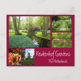 Keukenhof Gardens Collage Vykort