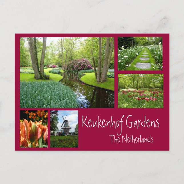 Keukenhof Gardens Collage Vykort (Framsida)