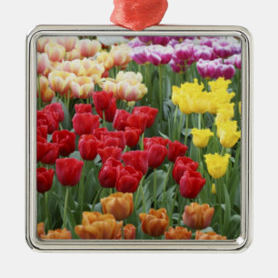 Keukenhof Gardens, Holland, specialiserar sig på 2 Julgransprydnad Metall