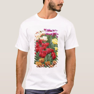 Keukenhof Gardens, Holland, specialiserar sig på 2 T Shirt