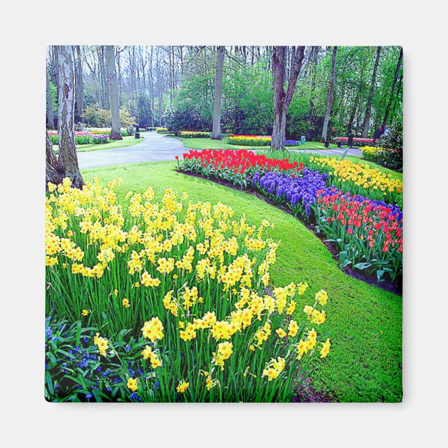 KEUKENHOF GARDENS, LISSE HOLLAND MAGNET (Framsidan)