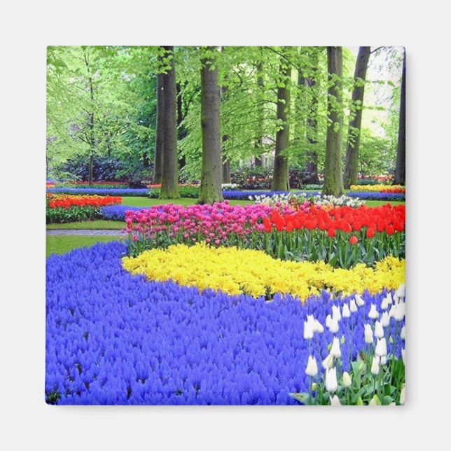 KEUKENHOF GARDENS, LISSE HOLLAND MAGNET (Framsidan)