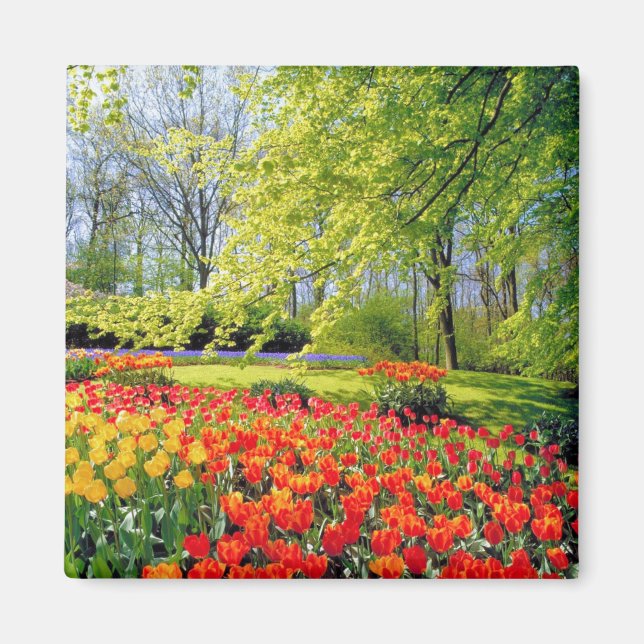 KEUKENHOF GARDENS, LISSE HOLLAND MAGNET (Framsidan)