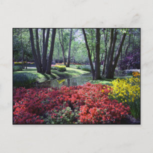 Keukenhof Gardens Nederländerna, mall för vykort