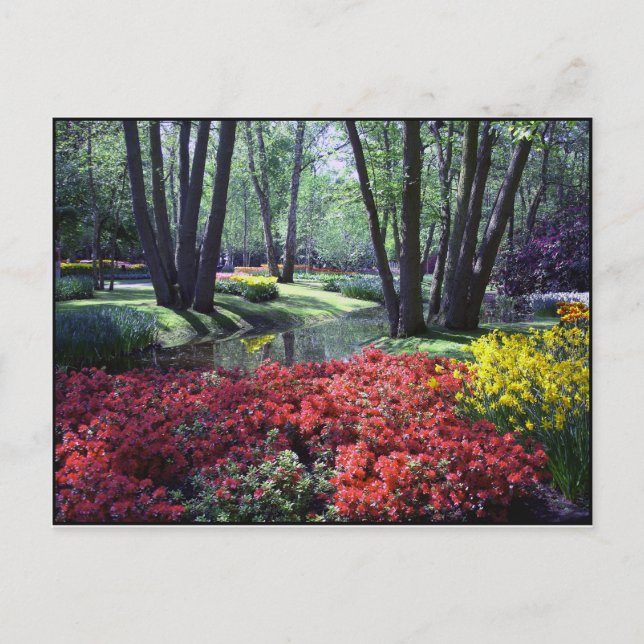 Keukenhof Gardens Nederländerna, mall för vykort (Framsida)