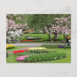 Keukenhof Gardens, Nederländerna Vykort