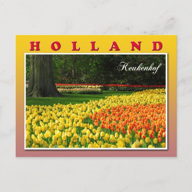 Keukenhof, Lisse, Nederländerna Vykort (Framsida)
