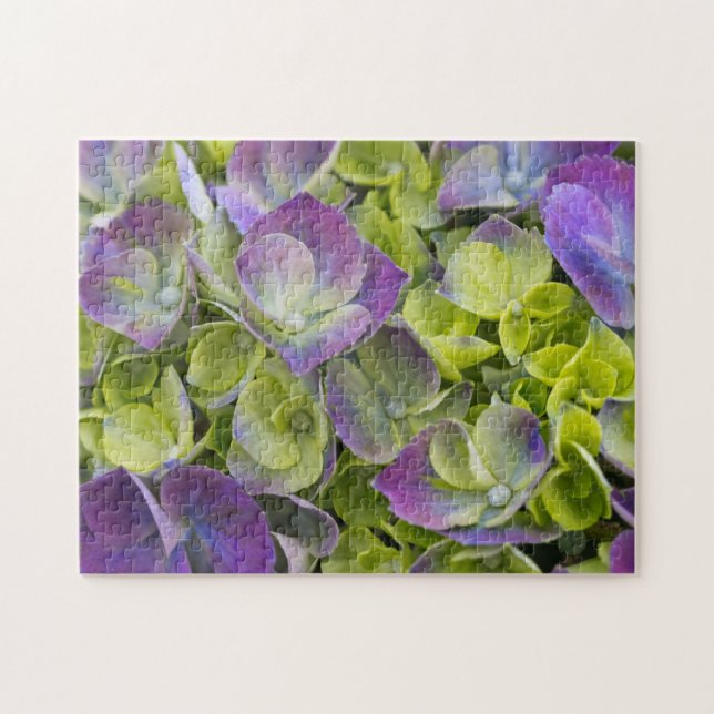 Keukenhof Trädgård Hortensia Pussel (Horisontell)