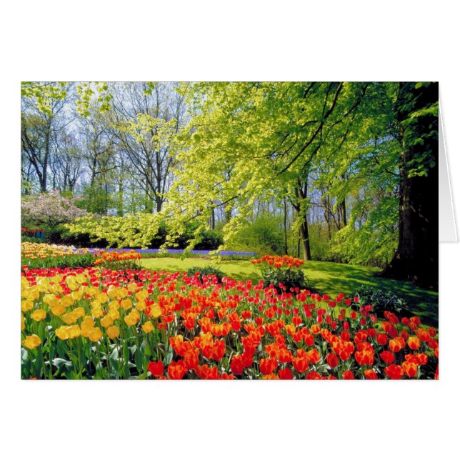 KEUKENHOF-TRÄDGÅRDAR HÄLSNINGSKORT (Framsidan Horizontal)