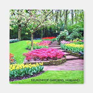 KEUKENHOF-TRÄDGÅRDAR, HOLLAND MAGNET