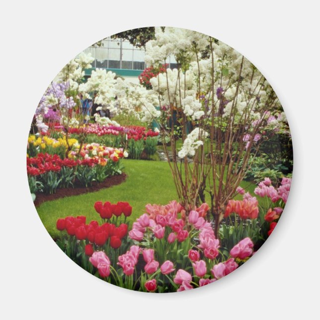 Keukenhof-trädgårdar i Lisse, söder om Amster Magnet (Framsidan)