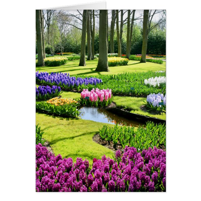 KEUKENHOF-TRÄDGÅRDAR, LISSE HOLLAND HÄLSNINGSKORT (Framsidan)