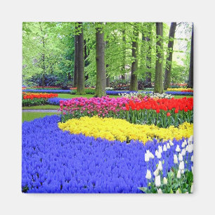 KEUKENHOF-TRÄDGÅRDAR, LISSE HOLLAND MAGNET