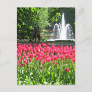 Keukenhof-trädgården - Holland-vykort Vykort