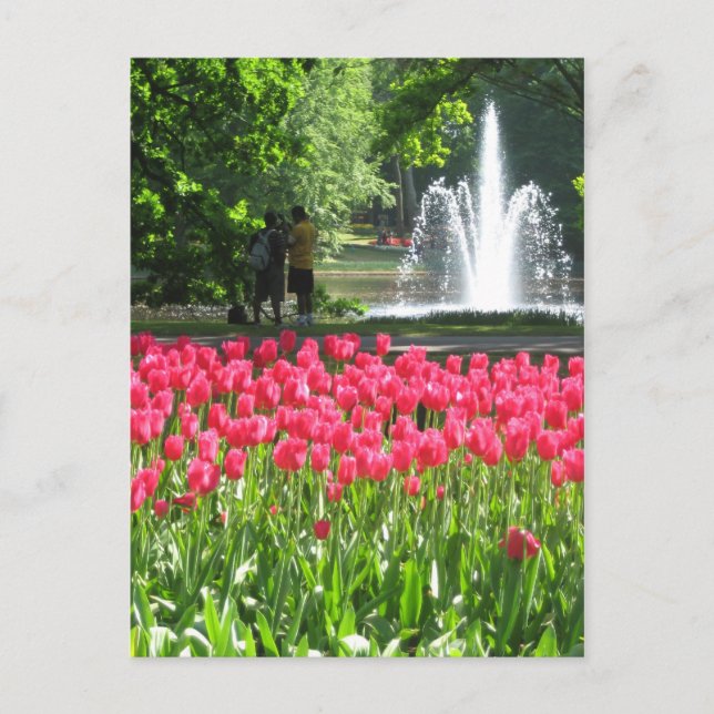 Keukenhof-trädgården - Holland-vykort Vykort (Framsida)