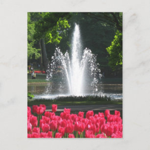 Keukenhof-trädgården - Holland-vykort Vykort