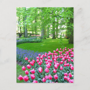 Keukenhof-trädgården - Holland-vykort Vykort