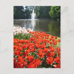 Keukenhof-trädgården - Holland-vykort Vykort