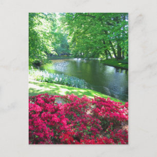 Keukenhof-trädgården - Holland-vykort Vykort