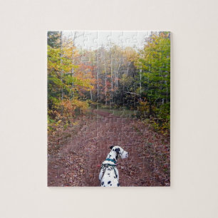Kevin dalmatianen pussel