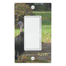 Kevin The Turkey - Old Wethersfield, CT