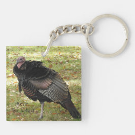Kevin The Turkey - Old Wethersfield, CT (2 bilder)