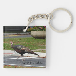 Kevin The Turkey - Old Wethersfield, CT (2 bilder)