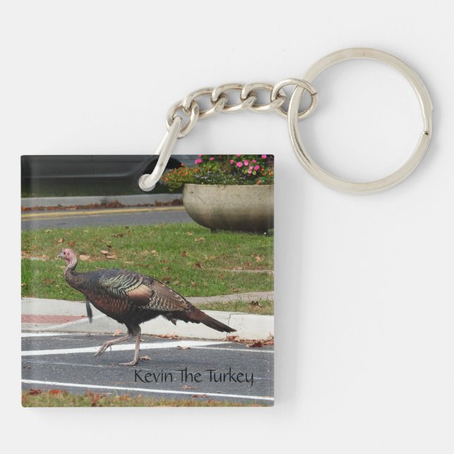 Kevin The Turkey - Old Wethersfield, CT (2 bilder) (Baksidan)