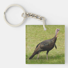 Kevin The Turkey - Old Wethersfield, CT (2 bilder)