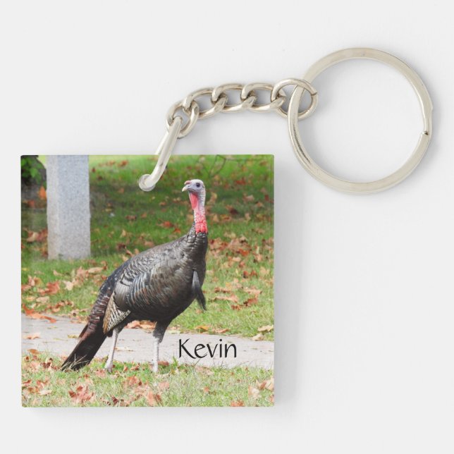 Kevin The Turkey - Old Wethersfield, CT (2 bilder) (Baksidan)
