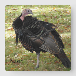 Kevin The Turkey - Old Wethersfield, CT Fyrkantig Klocka