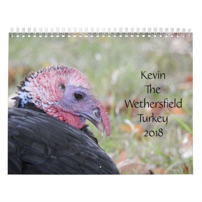 Kevin The Turkey - Old Wethersfield, CT Kalender (Omslag)