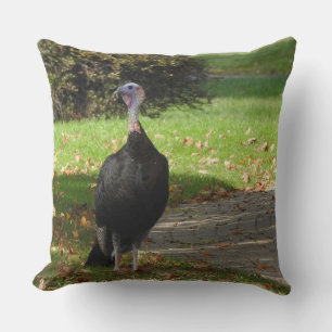 Kevin The Turkey - Old Wethersfield, CT Kudde
