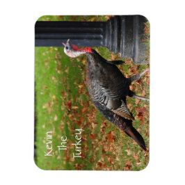 Kevin The Turkey - Old Wethersfield, CT Magnet