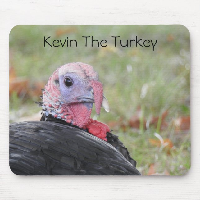 Kevin the Turkey - Old Wethersfield, CT Musmatta (Framsidan)