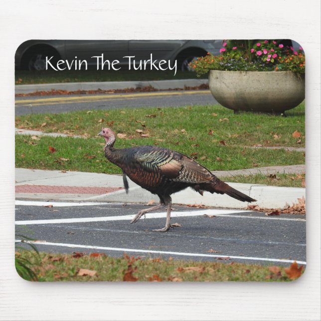 Kevin the Turkey - Old Wethersfield, CT Musmatta (Framsidan)