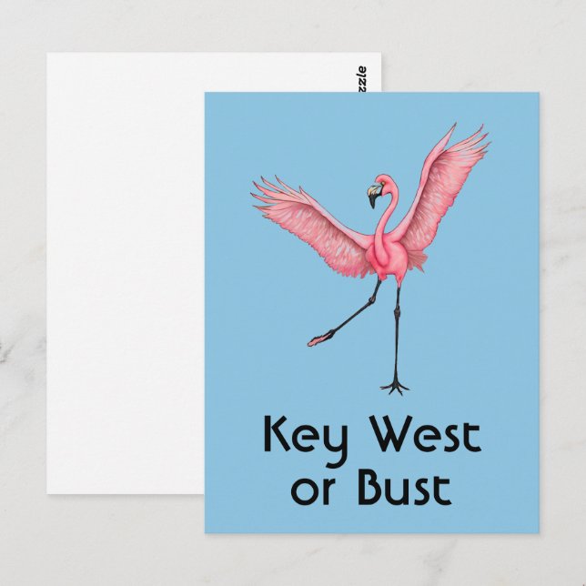 Key West eller ingenting Rolig rosa flamingo från  Vykort (Fram/baksida)