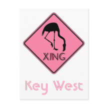 Key West Florida Flamingo Crossing Skylt