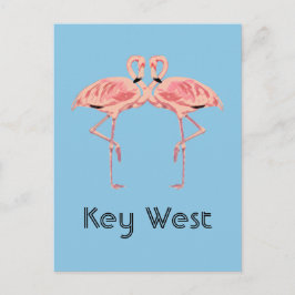 Key West Florida Rosa Flamingo Par Vykort