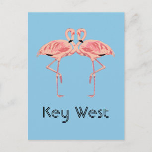 Key West Florida Rosa Flamingo Par Vykort